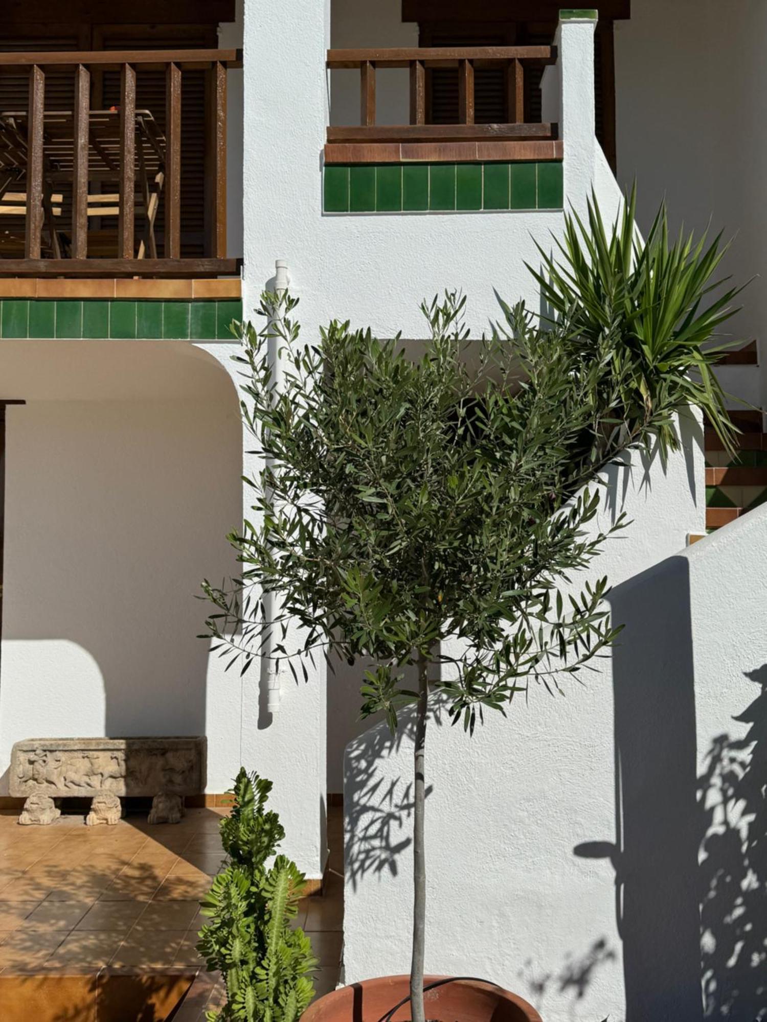 Espectacular Sunny House In The Beach Cunit Esterno foto